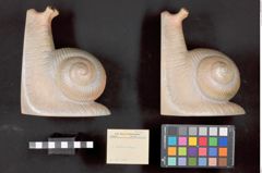 Foto einer Buchstütze in Schneckenform (NHMW-ZOO-MO-0081100-ETH-041)